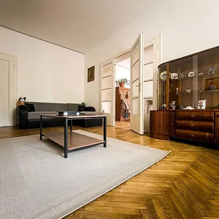 Retro With A Barkyard - Pet Friendly Holiday home Brasov