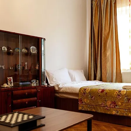 Retro With A Barkyard - Pet Friendly Holiday home Brasov