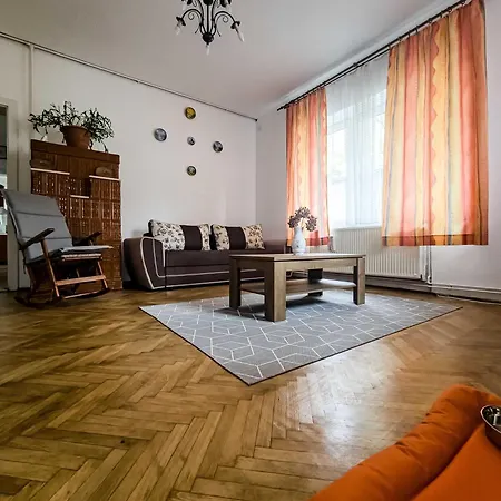 Retro With A Barkyard - Pet Friendly Holiday home Brasov