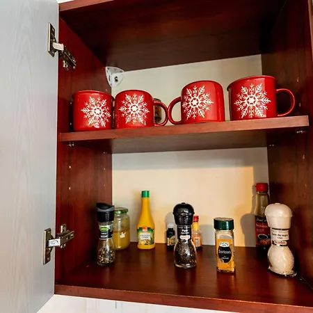 Retro With A Barkyard - Pet Friendly Brasov