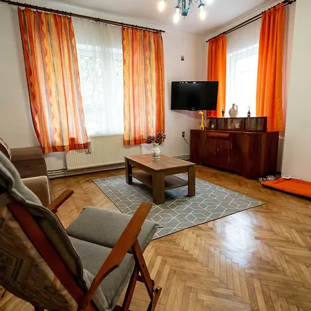 Retro With A Barkyard - Pet Friendly Holiday home Brasov