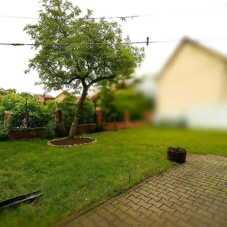 Retro With A Barkyard - Pet Friendly * Brasov