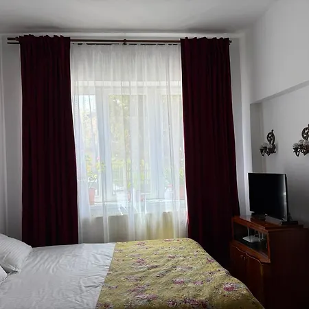 Retro With A Barkyard - Pet Friendly Holiday home