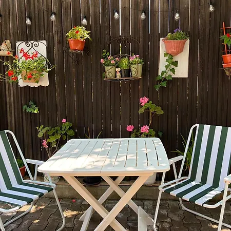 Retro With A Barkyard - Pet Friendly * Brasov