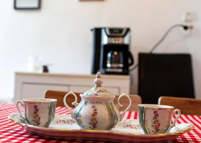 Retro With A Barkyard - Pet Friendly 別荘 ブラショフ