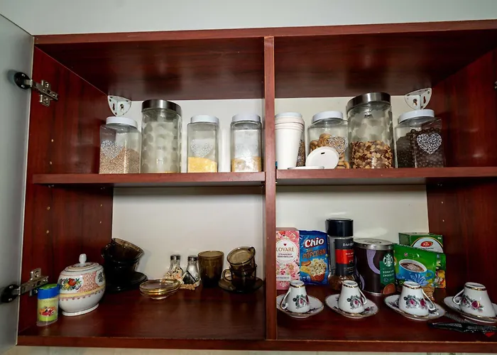 Retro With A Barkyard - Pet Friendly 別荘 ブラショフ