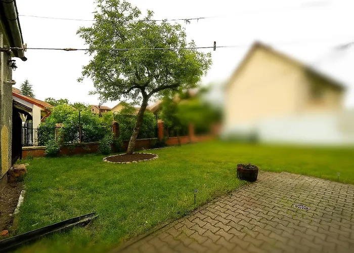 Retro With A Barkyard - Pet Friendly * Μπρασόβ